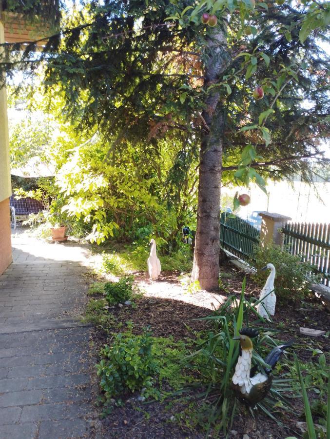 B&B Family Basement Apartment, Breakfast, Free Parking, 5Km From Tulln Chorherrn Dış mekan fotoğraf